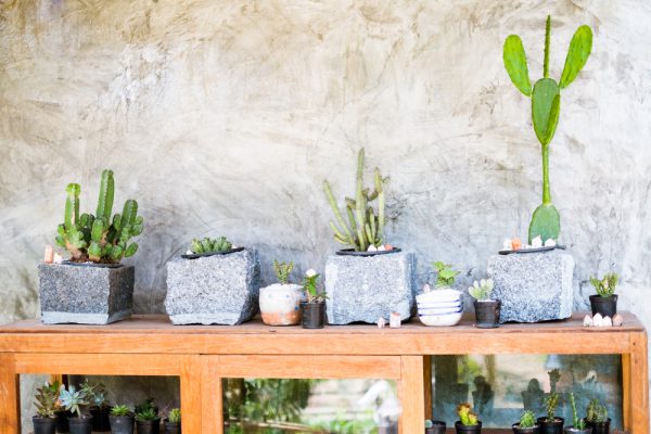 Macetas para cultivar cactus, piedra madera y cemento